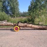 Александр П.